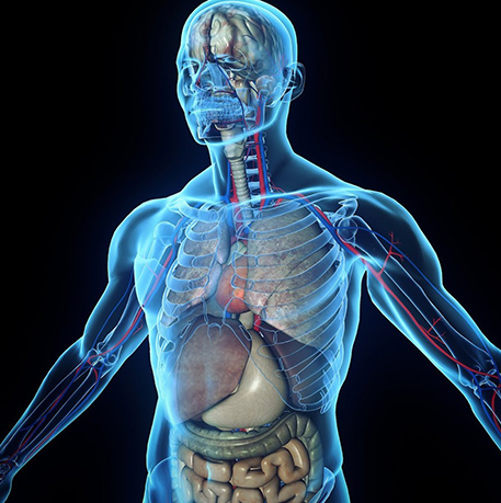 nuevo medicina biologica y nutricion